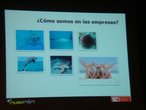 08-Search_Congress_Bilbao_2010